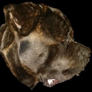 Meet your Posher, Jody